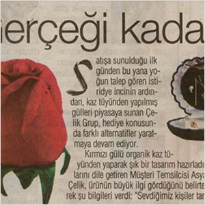 Milliyet Gazetesi