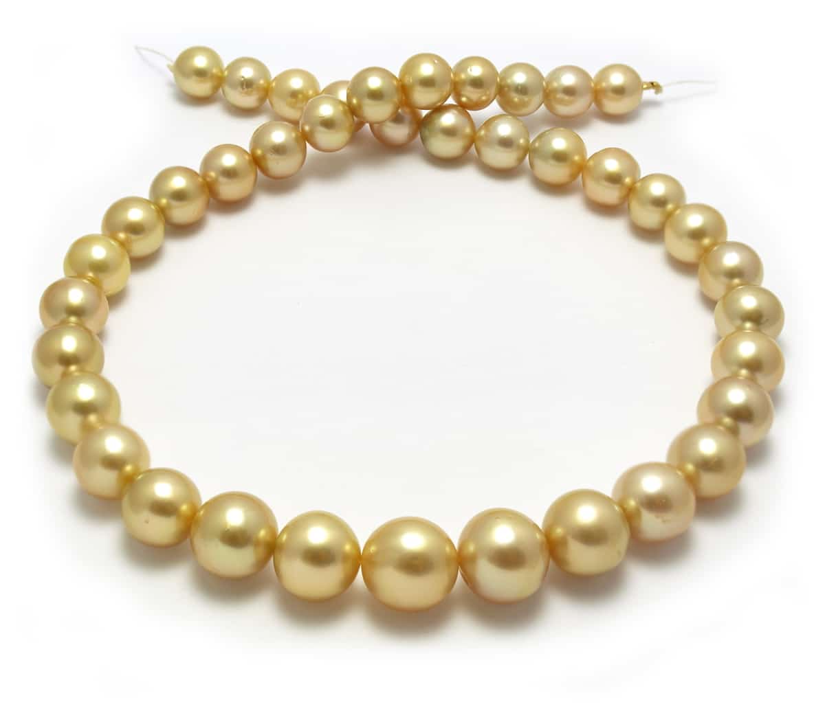 Gold Yellow South sea  Pearl Necklaces