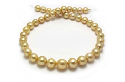 Gold Yellow South sea  Pearl Necklaces